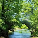 婺源江湾景区 - 上饶市旅游 缩略图 2