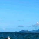 大梅沙海滨公园 - 深圳市旅游 缩略图 3