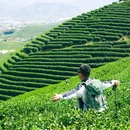 龙坞茶镇上城埭 - 杭州市旅游 缩略图 2