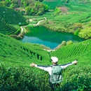 龙坞茶镇上城埭 - 杭州市旅游 缩略图 1