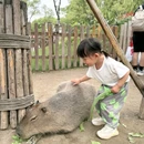 上海博物馆游客服务中心 - 上海市旅游 缩略图 1