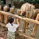 上海博物馆游客服务中心 - 上海市旅游 缩略图 3