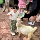 上海博物馆游客服务中心 - 上海市旅游 缩略图 7