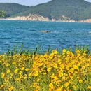 猫头山 - 威海市旅游 缩略图 7
