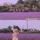 爱华酒店(海南琼海市中心高铁站万泉河店) - 琼海市旅游 缩略图 4