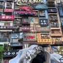 深圳罗湖口岸 - 深圳市旅游 缩略图 8