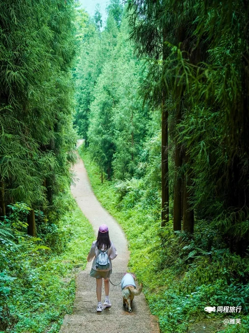 冰川湖 - 德阳市旅游