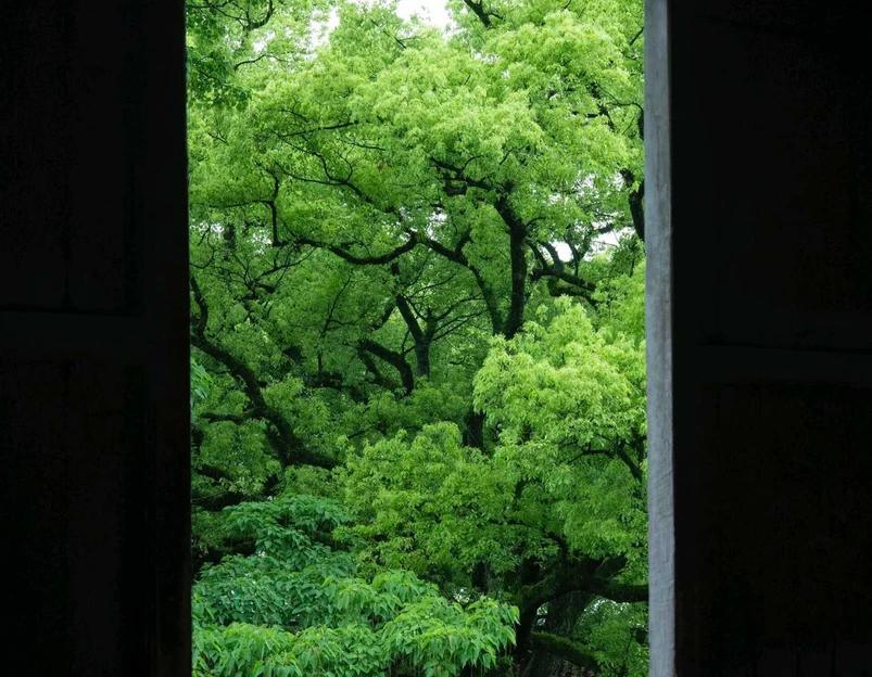 杭州六和塔 - 武汉市旅游 1