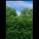 杭州六和塔 - 武汉市旅游 缩略图 9