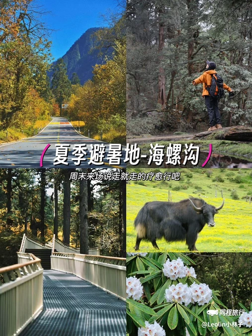 海螺沟风景区 - 甘孜藏族自治州旅游