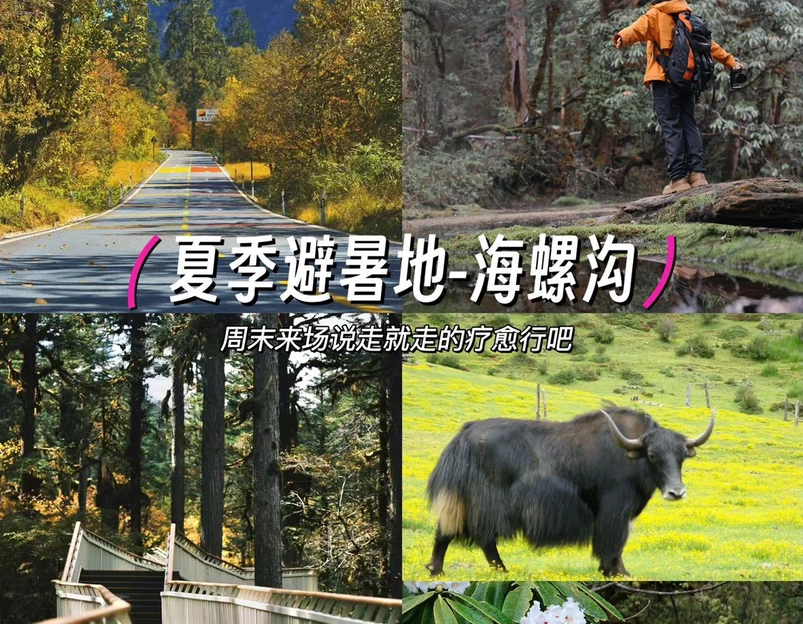 海螺沟风景区 - 甘孜藏族自治州旅游 1