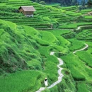云和梯田景区 - 丽水市旅游 缩略图 5