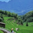 云和梯田景区 - 丽水市旅游 缩略图 3