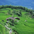 云和梯田景区 - 丽水市旅游 缩略图 4