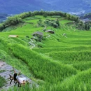 云和梯田景区 - 丽水市旅游 缩略图 9
