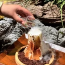 望季山野鲜货火锅(杭州新天地店) - 杭州市旅游 缩略图 6
