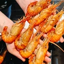 金龙·打边炉(定西路店) - 上海市旅游 缩略图 7