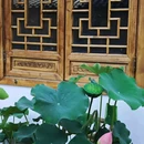 成都成华SM广场 - 成都市旅游 缩略图 3