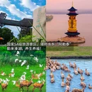 梅兰芳纪念馆 - 泰州市旅游 缩略图 7