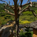 后畲村 - 丽水市旅游 缩略图 3