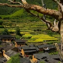 后畲村 - 丽水市旅游 缩略图 6