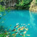 大奇山国家森林公园 - 杭州市旅游 缩略图 9