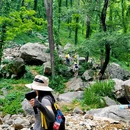 药乡国家森林公园 - 泰安市旅游 缩略图 5