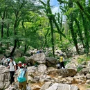 药乡国家森林公园 - 泰安市旅游 缩略图 3