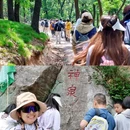 药乡国家森林公园 - 泰安市旅游 缩略图 8