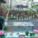 老水塔·青岛本土菜(长沙路店) - 青岛市旅游 缩略图 9