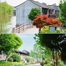 月河历史街区 - 嘉兴市旅游 缩略图 2