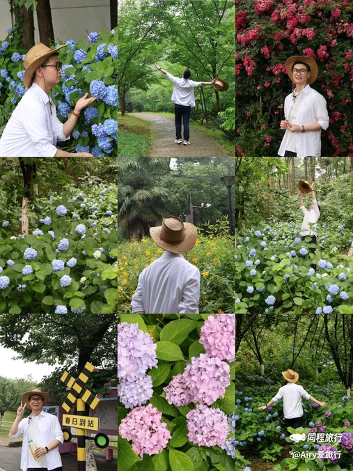 湖南省森林植物园 - 长沙市旅游