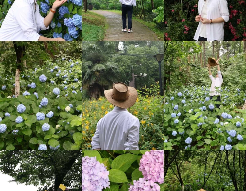 湖南省森林植物园 - 长沙市旅游 1