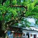 察关村 - 上饶市旅游 缩略图 5