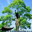 察关村 - 上饶市旅游 缩略图 6