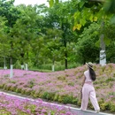 沈院 - 舟山市旅游 缩略图 3