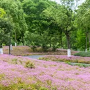沈院 - 舟山市旅游 缩略图 8