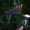 西溪南景区 - 黄山市旅游 缩略图 5