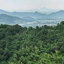 亭溪岭古驿道 - 宁波旅游 缩略图 3