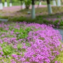 沈院 - 舟山市旅游 缩略图 9