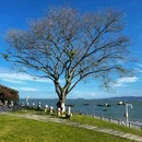 黄厝海滩 - 厦门市旅游 缩略图 5