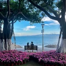 黄厝海滩 - 厦门市旅游 缩略图 1