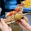 高德置地广场·春广场 - 广州市旅游 缩略图 2