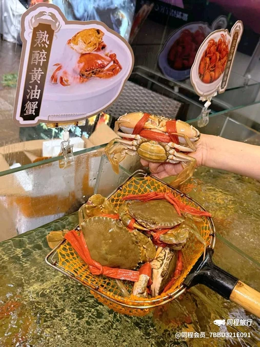 高德置地广场·春广场 - 广州市旅游