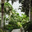 上海辰山植物园 - 上海市旅游 缩略图 9