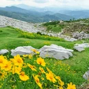 冷水江市锡矿山红军长征公园事务中心 - 娄底市旅游 缩略图 1