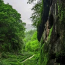 江浙沪宠儿园艺 - 嘉兴市旅游 缩略图 2