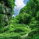 江浙沪宠儿园艺 - 嘉兴市旅游 缩略图 5