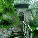 江浙沪宠儿园艺 - 嘉兴市旅游 缩略图 7