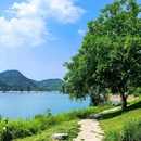临湖镇 - 上饶市旅游 缩略图 5